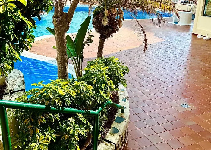 Ocean View, Spacious 2br, Pool, Playa Paraiso Pp601 *